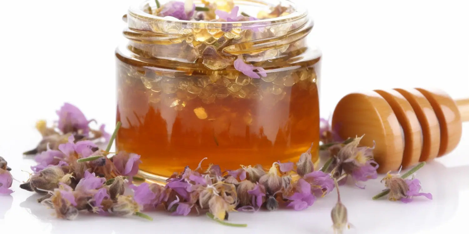 Co to miód spadziowy?