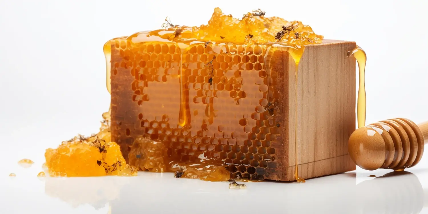 Kiedy jest zbierany miód spadziowy?