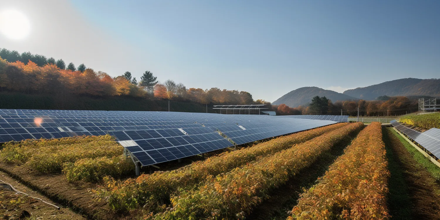 Po ilu latach zwraca się fotowoltaika?