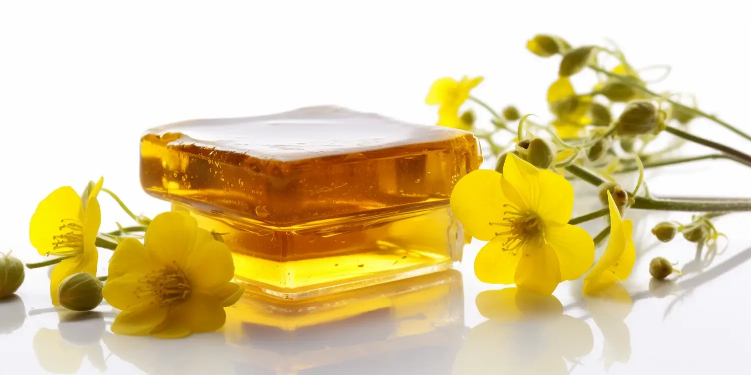 Kiedy zbiera się miód akacjowy?